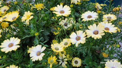 【眼界視界】+ 場(chǎng)景小拍