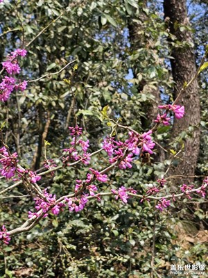 【醉春山】晴空萬里