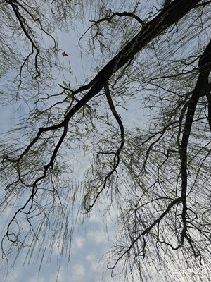 【醉春山】+春天的味道