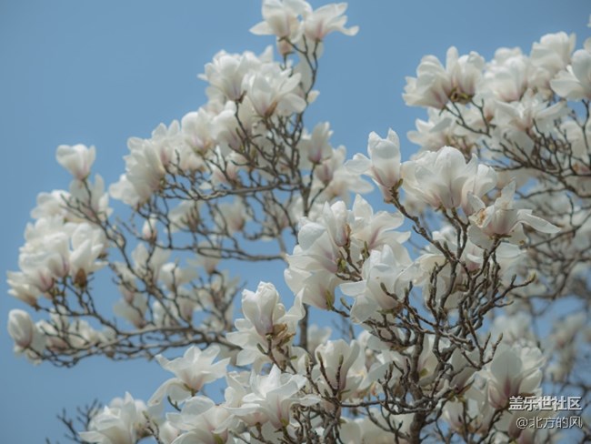 【當(dāng)三星遇到北?！?----好的手機(jī)留下好的風(fēng)景