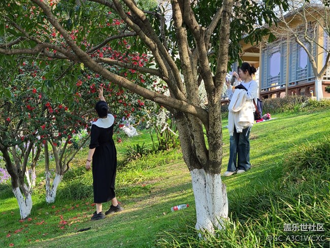 #初春時(shí)節(jié)——春游