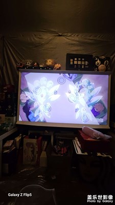 【歲月靜好】大概就這樣吧