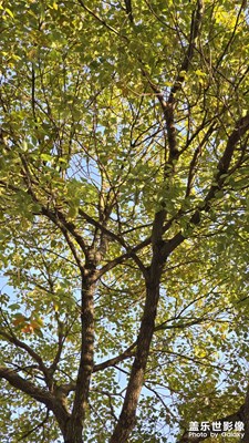 醉春山+春光無限好！