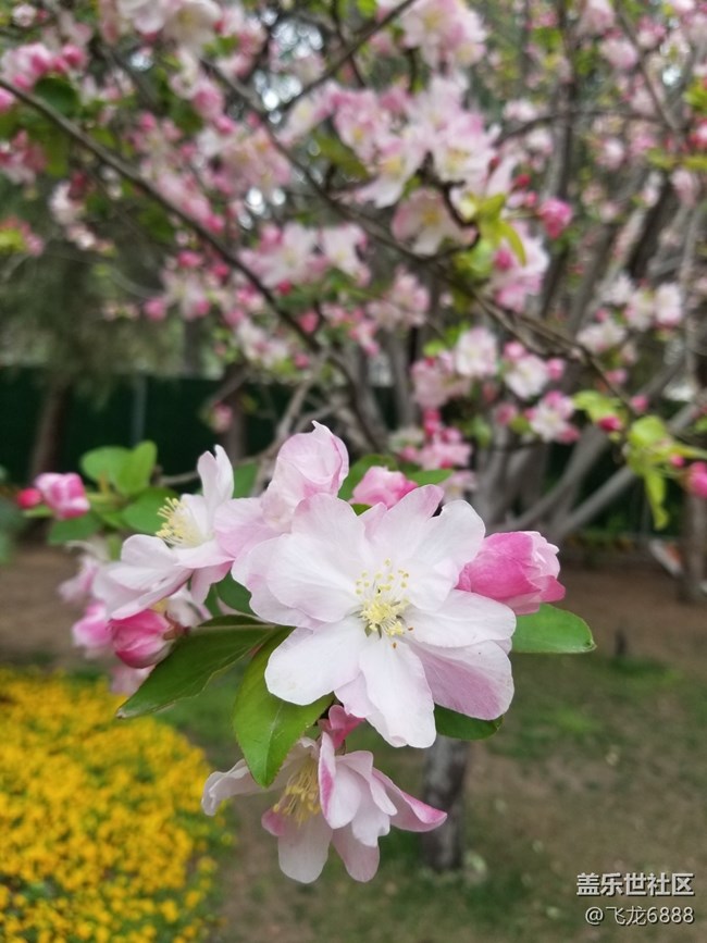 【春日元?dú)狻?精神放空