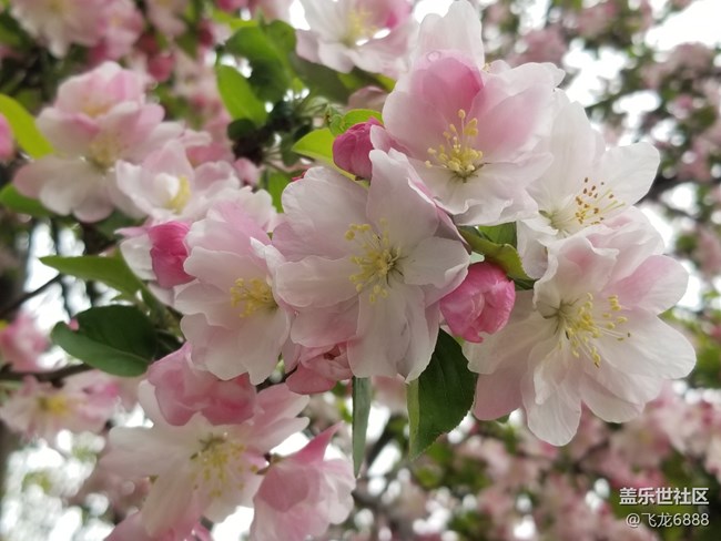 【春日元?dú)狻?精神放空