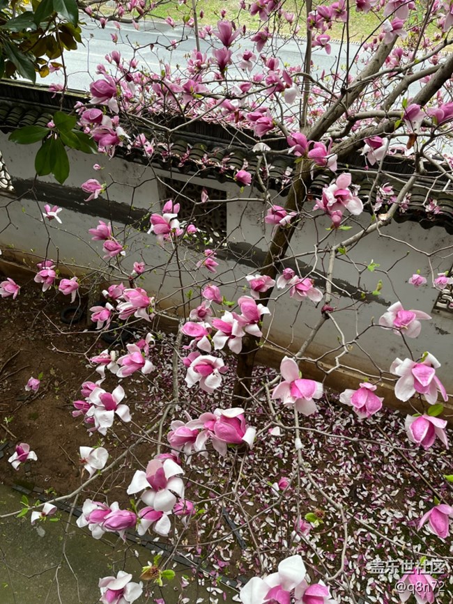 #初春時(shí)節(jié)—春天來了