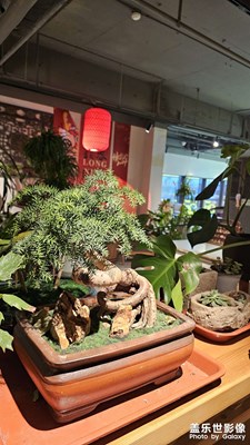 【眼界視界】+飲食博物館