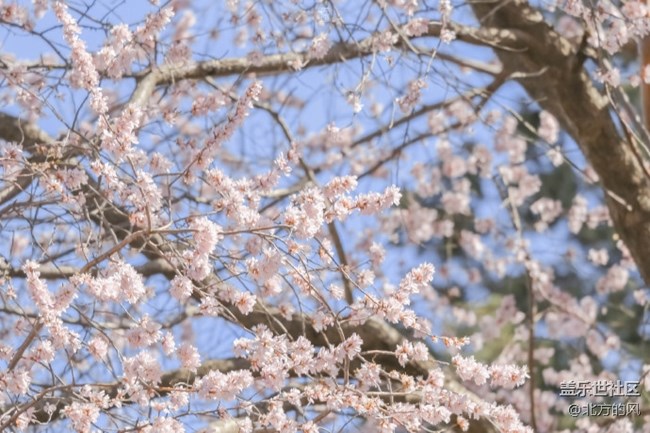 【當(dāng)三星遇到北?！?----好的手機(jī)留下好的風(fēng)景