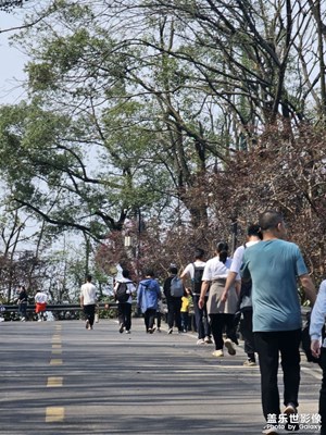 【醉春山】醉翁之意不在酒