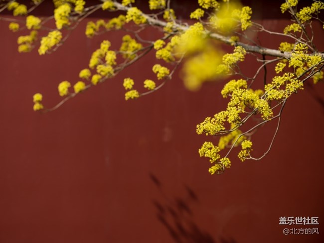 【當(dāng)三星遇到北?！?----好的手機(jī)留下好的風(fēng)景