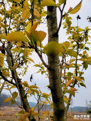 【眼界視界】+?路邊隨拍