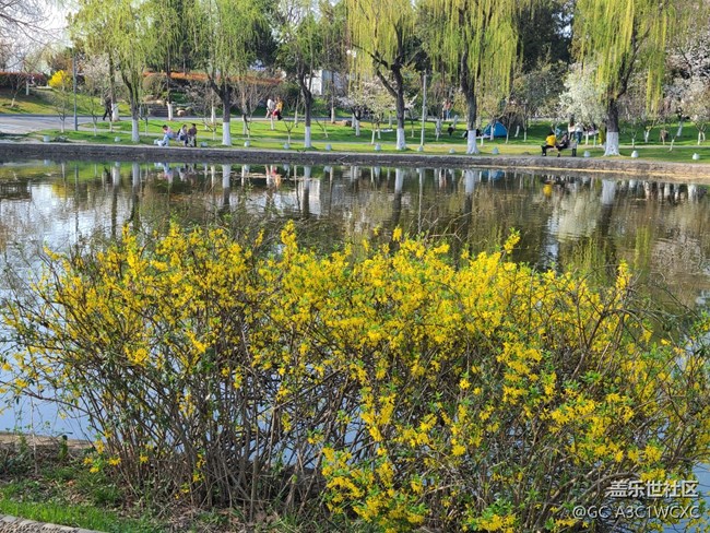 #初春時(shí)節(jié)——春游