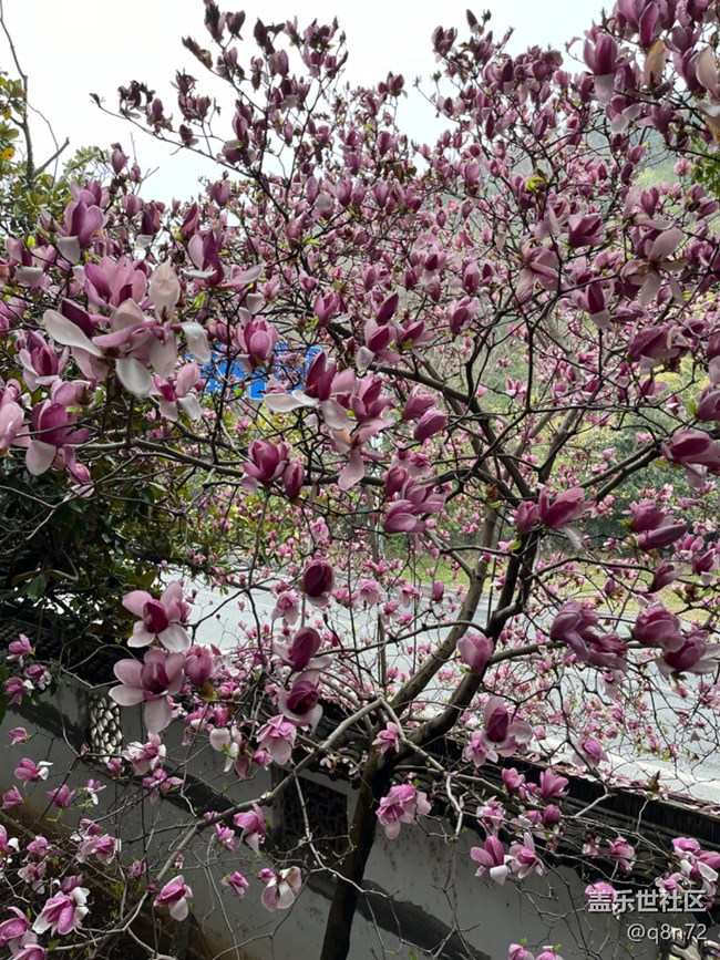 #初春時(shí)節(jié)—春天來了