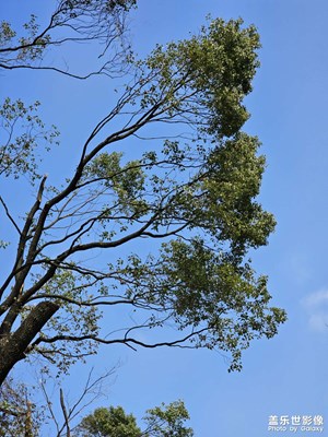 【醉春山】綠水青山