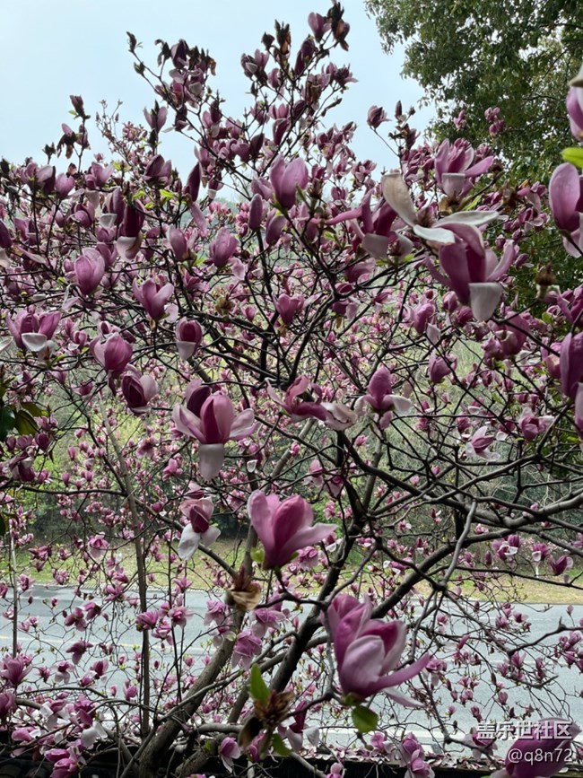 #初春時(shí)節(jié)—春天來了