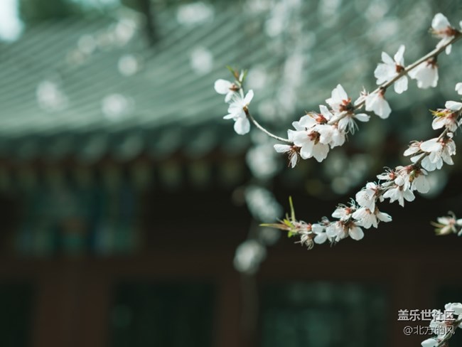 【當(dāng)三星遇到北?！?----好的手機(jī)留下好的風(fēng)景