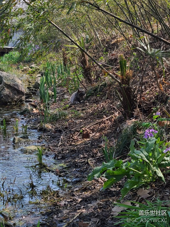 【春和景明】春天美景