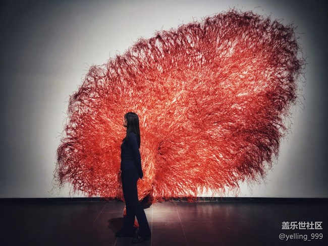 上海星部落3月23日世博會(huì)博物館線下攝影活動(dòng)回顧帖