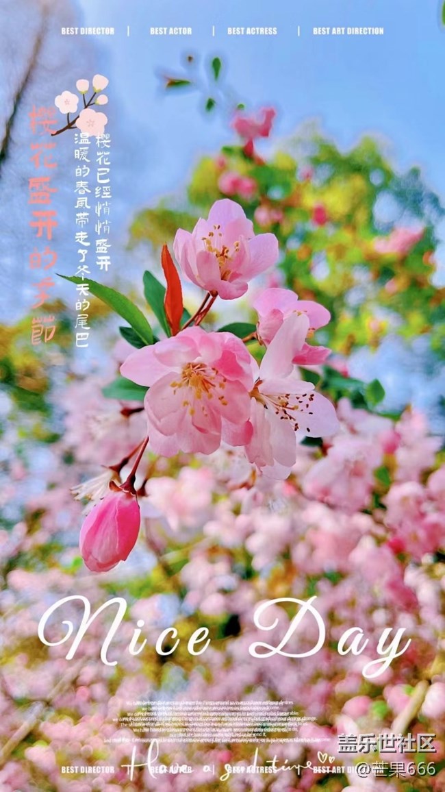 #初春時節(jié)——櫻花綻放