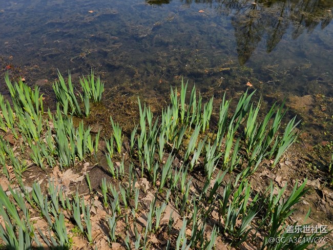 【春影留痕】春景