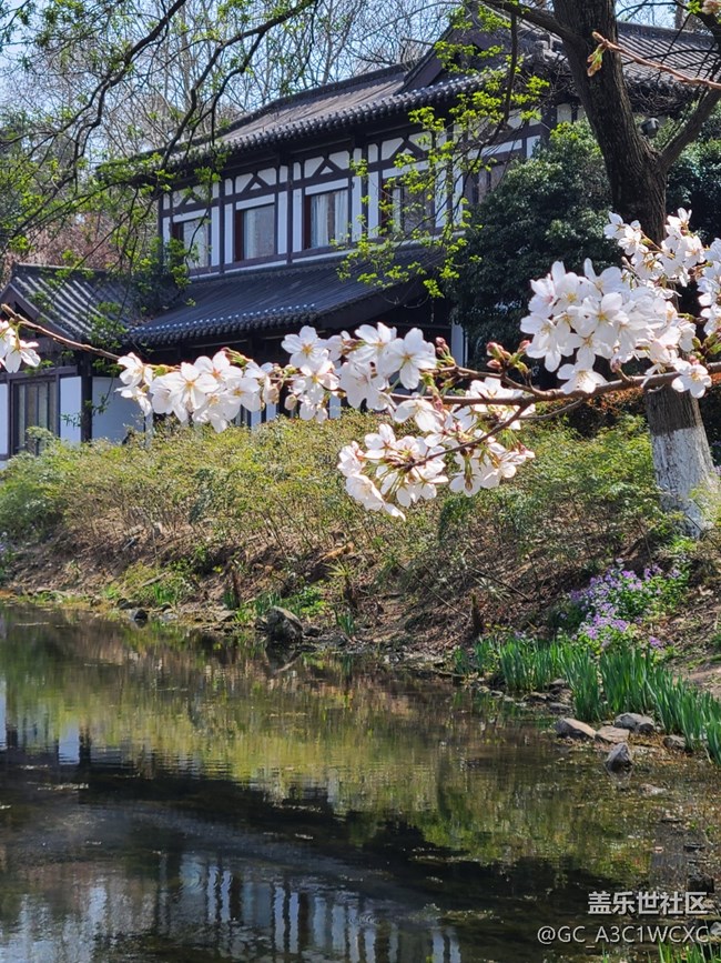 【春影留痕】春景