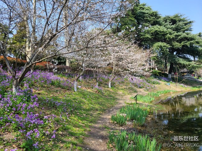 【春和景明】春天美景