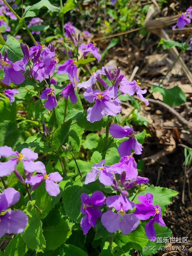 【春和景明】春天美景