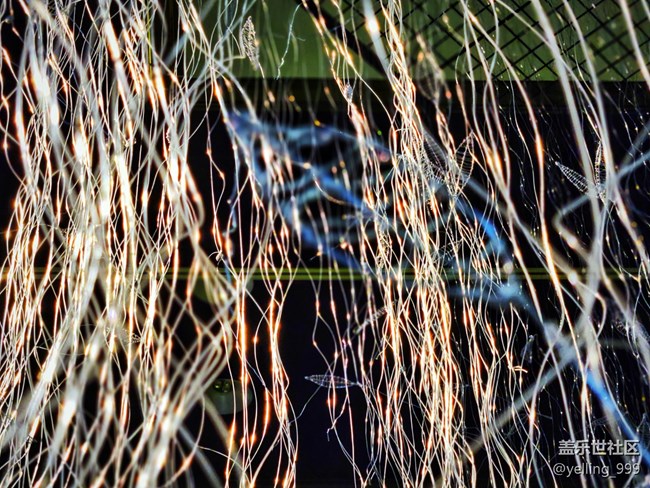 上海星部落3月23日世博會(huì)博物館線下攝影活動(dòng)回顧帖