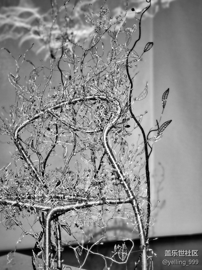 上海星部落3月23日世博會(huì)博物館線下攝影活動(dòng)回顧帖