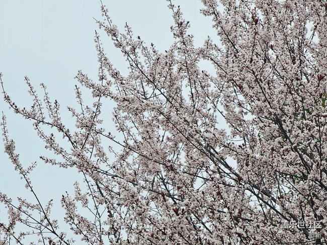 S23Utra長焦絕唱不同凡響