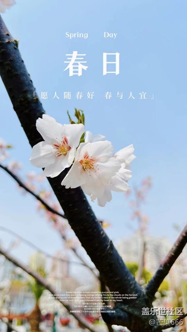 #初春時節(jié)——櫻花綻放