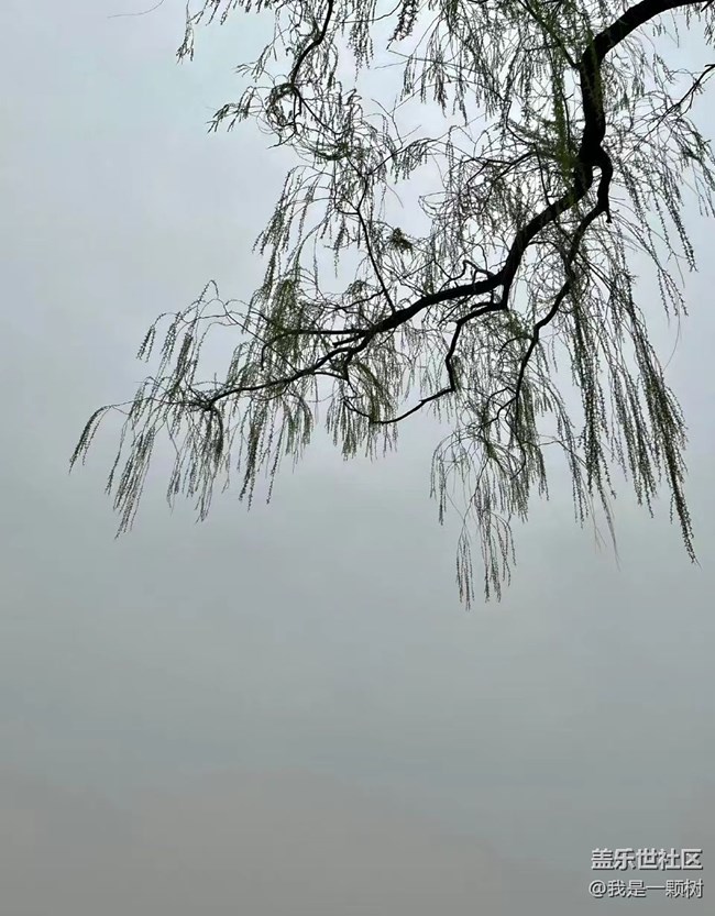 【當(dāng)三星遇北?！课液痛禾煸诒焙Ｓ袀€約會