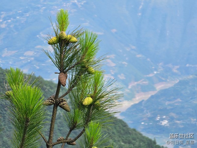 S23Utra長焦絕唱不同凡響