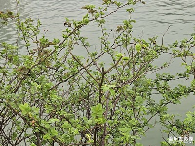 【眼界視界】+廣袤世界