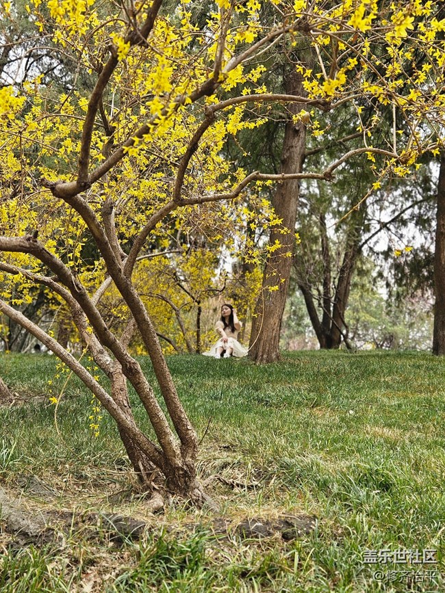 【春暖花开】猫与春花