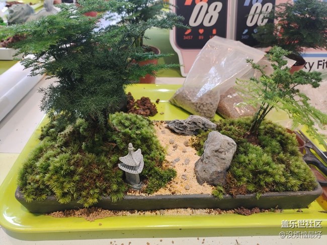 以 “植”此青綠，擁抱春天