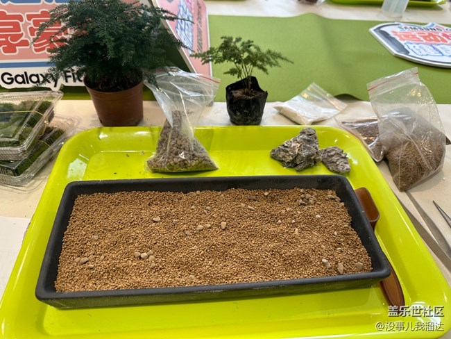 “植”此青綠，擁抱春天 活動回顧