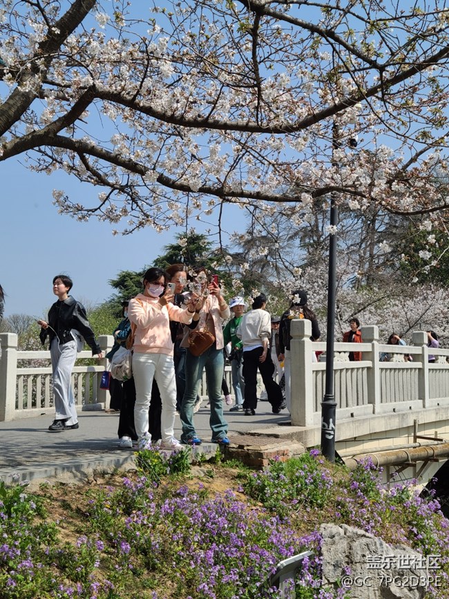 【迎接美好】+美麗春天