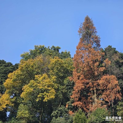 【眼界視界】+大千世界