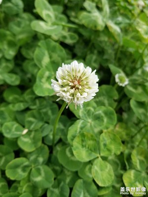 【眼界視界】隨拍