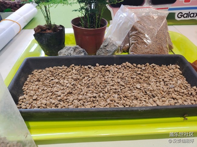 以 “植”此青綠，擁抱春天