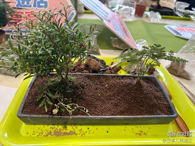 “植”此青綠，擁抱春天 活動回顧