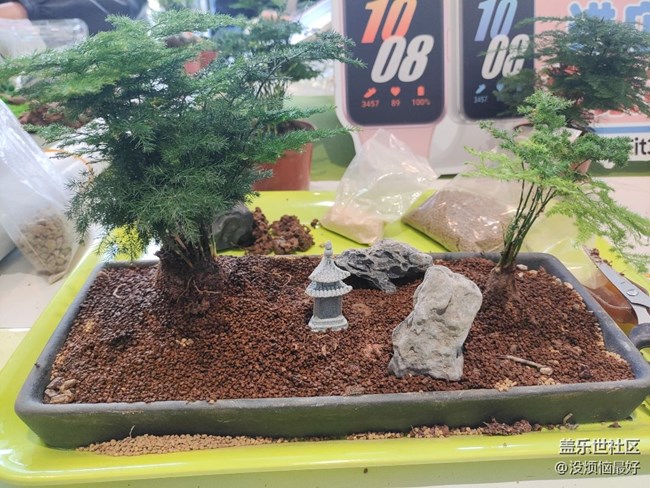 以 “植”此青綠，擁抱春天