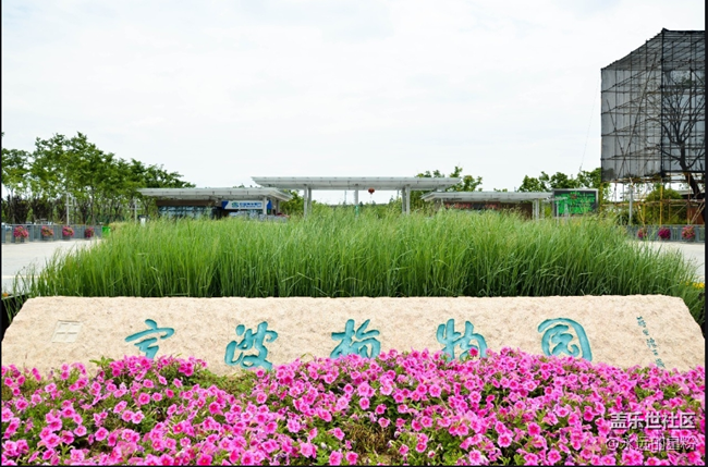 【4月4線下活動招募貼】清明假期，帶上AI去賞花