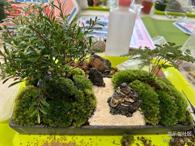 “植”此青綠，擁抱春天 活動回顧