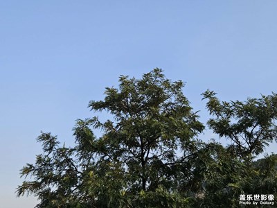 【眼界視界】+ 閑暇時(shí)光