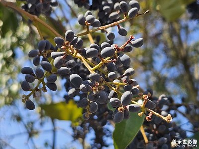 【眼界視界】+美景如畫