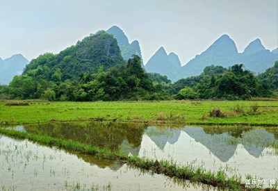【醉春山】田園風(fēng)光