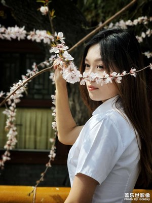 【醉春山】+春日芳菲