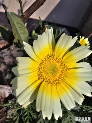 【用鏡頭丈量世界】+?遇到的美景